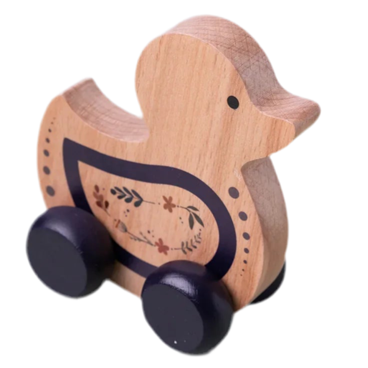 Bird Push Toy
