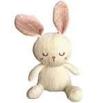 Plush Bunny
