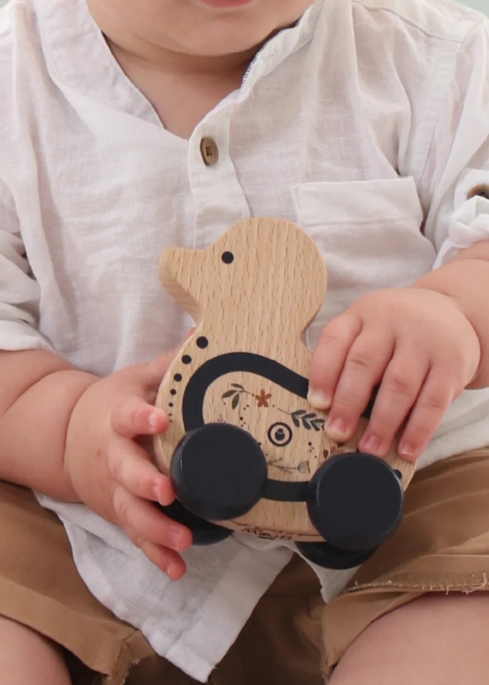 Bird Push Toy