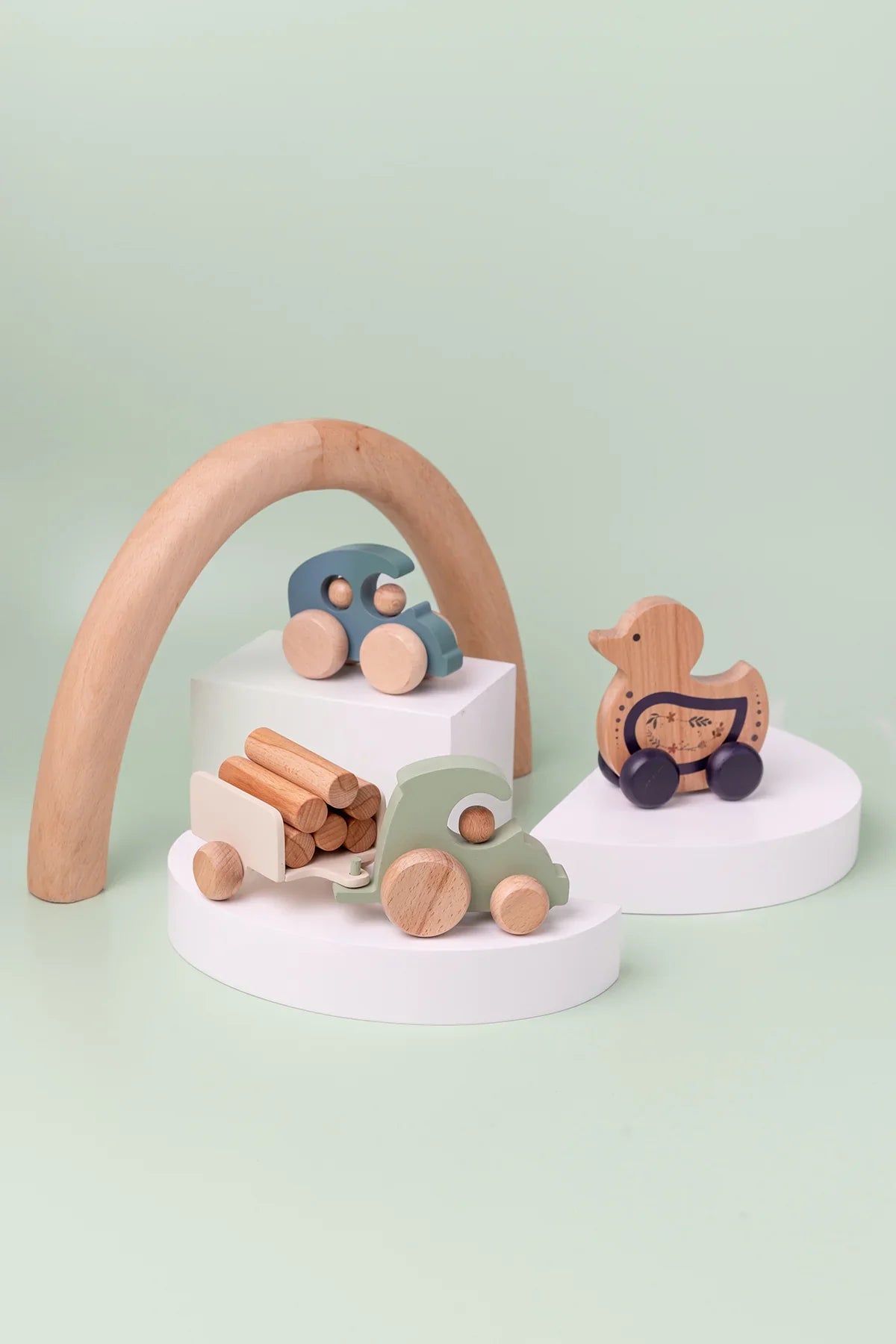 Bird Push Toy