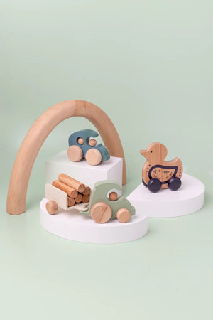 Bird Push Toy