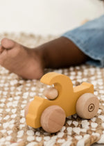 Bakkie Push Car