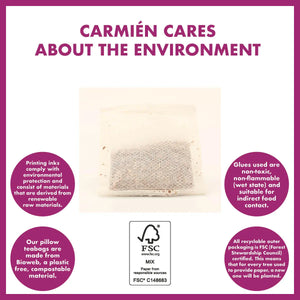 Carmien Tea Kiddies Berry Boost (20 Teabags)