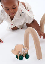Elephant Push Toy