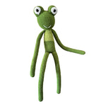 Freddy the Frog