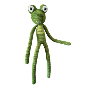 Freddy the Frog