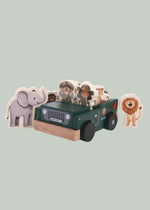 Safari Play Set