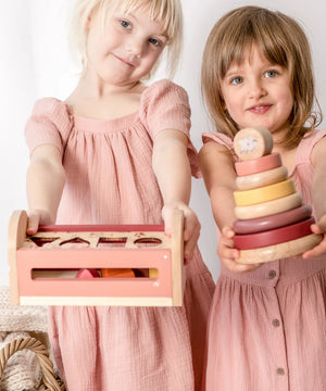 Shape Sorter ~ Bebe Pure